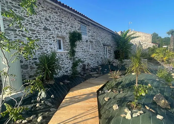 Sur Les Traces D Athena *